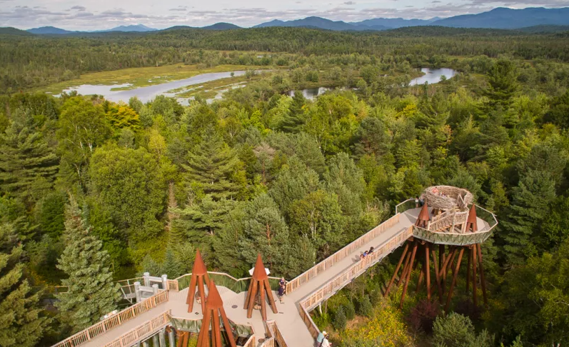 The Wild Center Wild Walk surrounded by the Adirondack trees and mountains